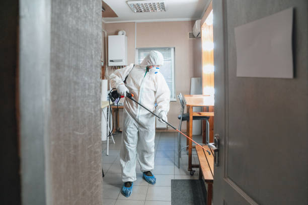 Best Mold Remediation for Healthcare Facilities  in Sa De Oro Mount Helix, CA