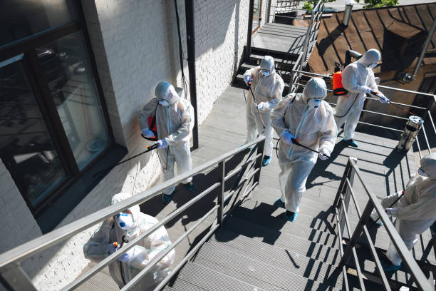  Sa De Oro Mount Helix, CA Mold Removal Pros