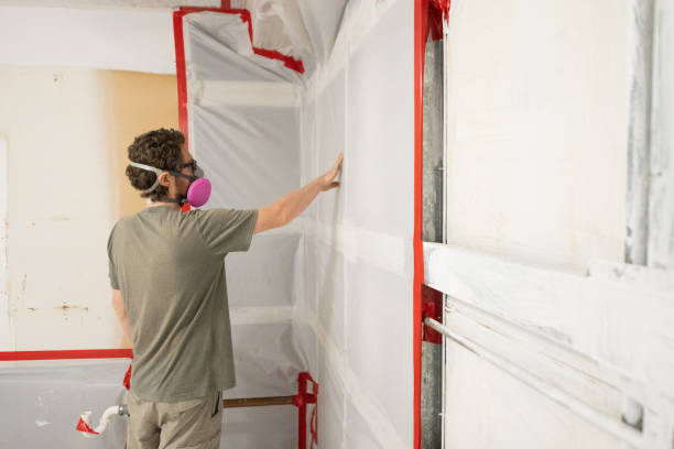 Best Attic Mold Removal  in Sa De Oro Mount Helix, CA